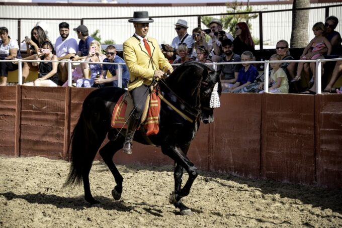Fuengirola: Spanish Horse Show With Optional Dinner/Flamenco - Customer Ratings and Reviews