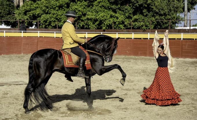 Fuengirola: Spanish Horse Show With Optional Dinner/Flamenco - Additional Considerations