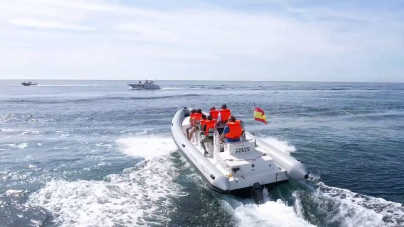 Fuengirola: Speedboat & Encounter Dolphins - Customer Feedback