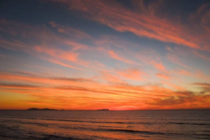 Fuengirola: Sunset Boat Tour With a Drink - Scenic Views and Wildlife