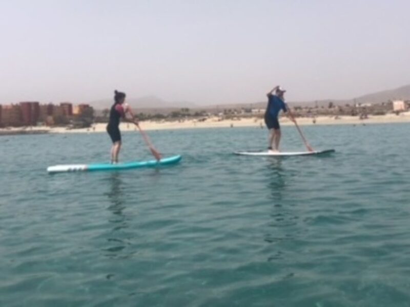 Fuerteventura: 1.5-Hour SUP Course - Caleta De Fuste - Key Points