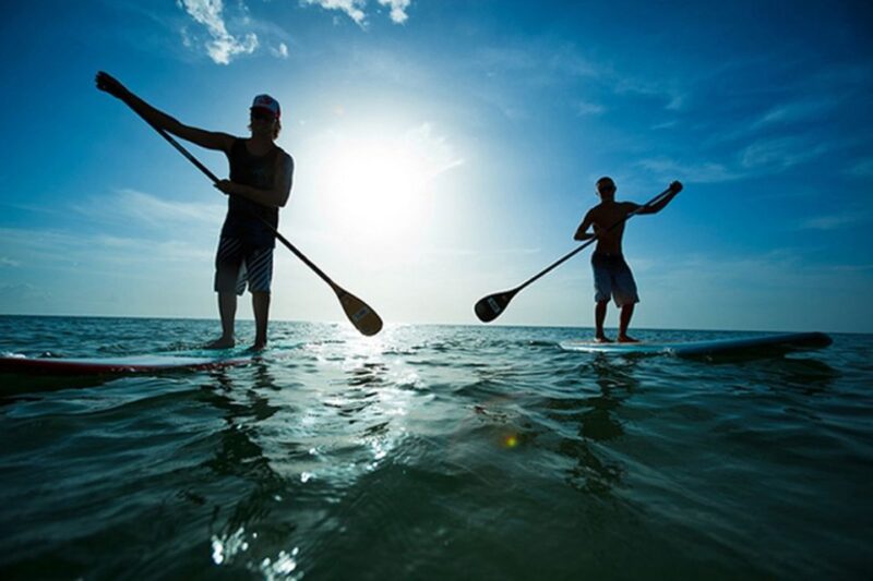 Fuerteventura: 1.5-Hour SUP Course - Caleta De Fuste - Course Content