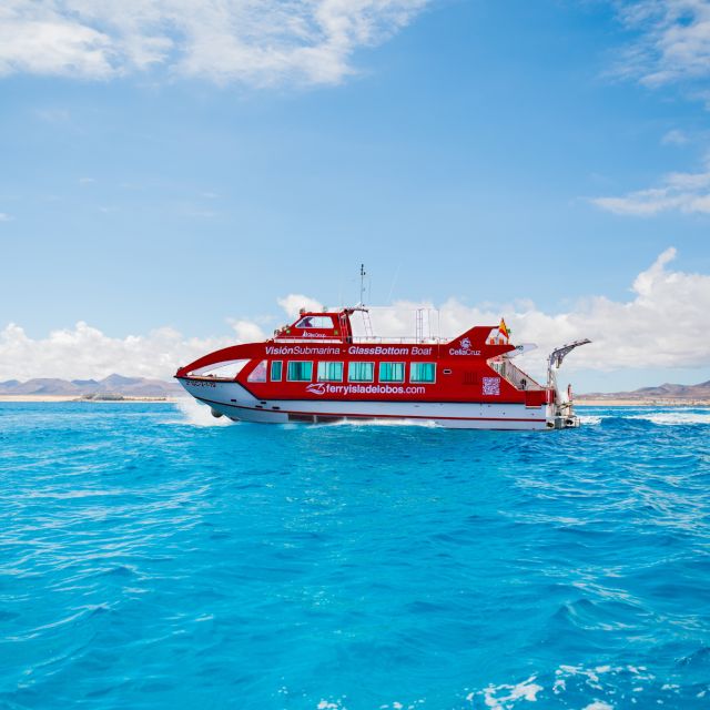 Fuerteventura: 1-Hour Mini Swim & Snorkel Cruise - Excursion Highlights