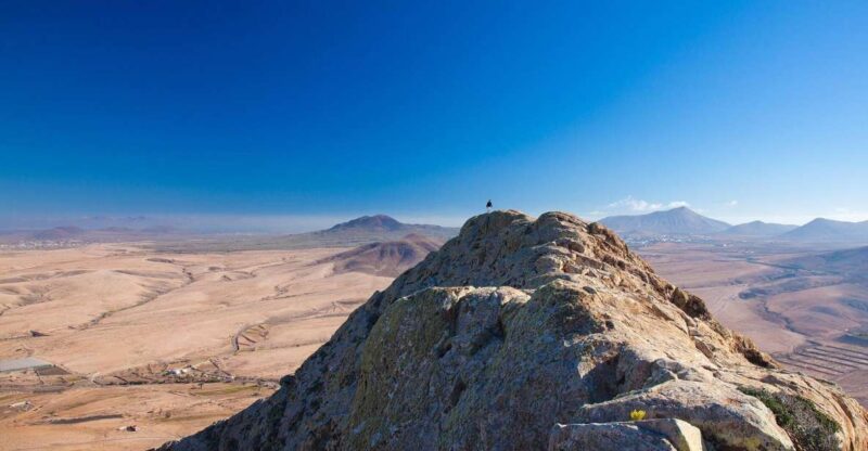 Fuerteventura 7 Hours VIP Island Grand TOUR With Local Guide - Key Points