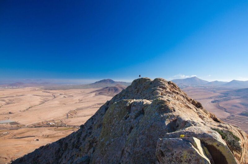 Fuerteventura 7 Hours VIP Island Grand TOUR With Local Guide - Highlights