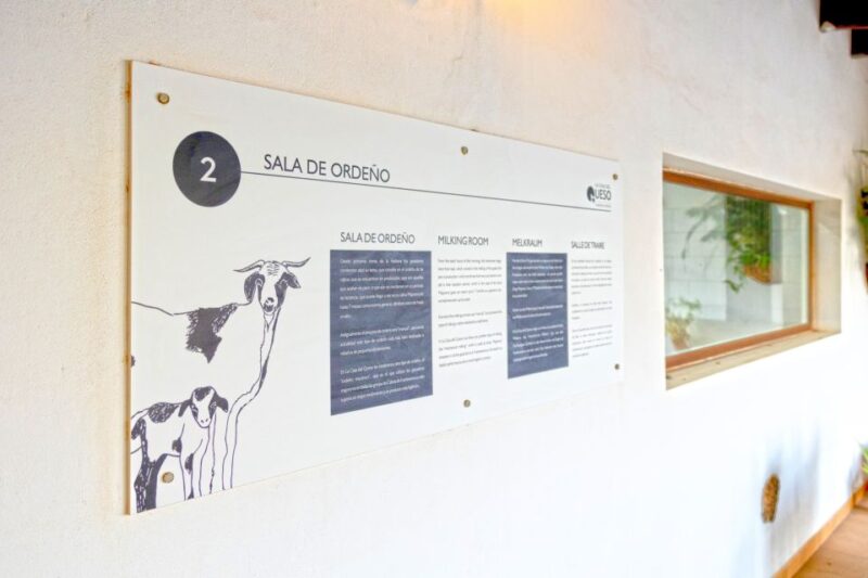 Fuerteventura: Artisan Goats Cheese Making at Local Farm - Milking Techniques
