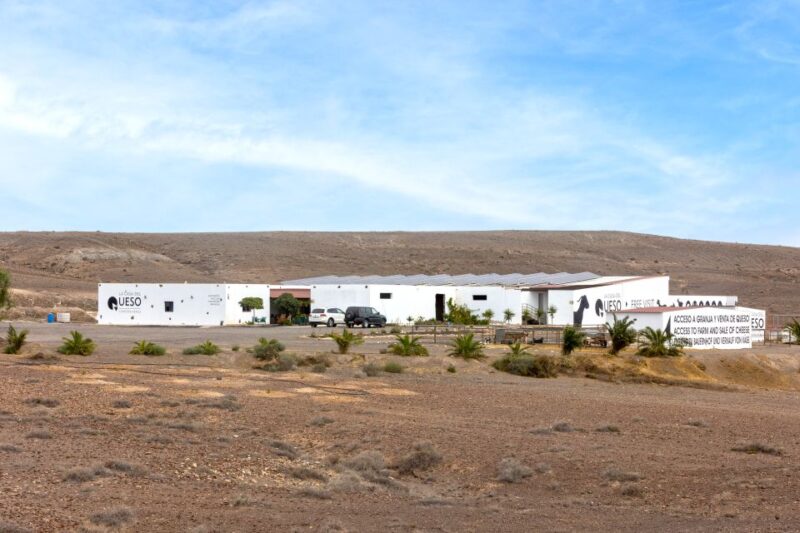 Fuerteventura: Artisan Goats Cheese Making at Local Farm - Authentic Fuerteventura Breakfast