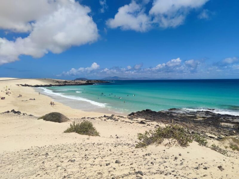 Fuerteventura: Best Spot Island Tour - Customer Experience and Reviews