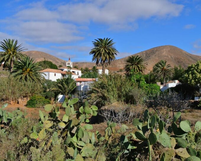 Fuerteventura: Best Spot Island Tour - Corralejo Dunes Natural Park