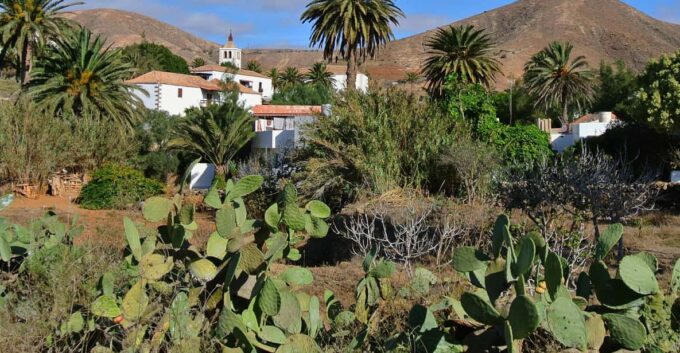 Fuerteventura: Best Spot Island Tour - Ajuy Black Sand Beach