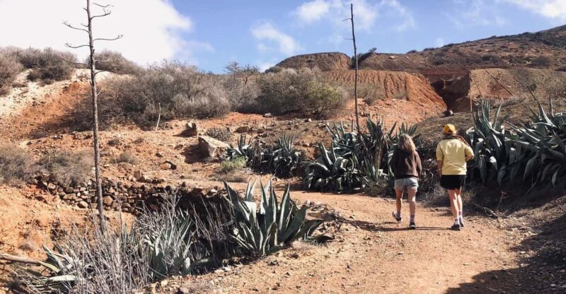Fuerteventura: Betancuria - Hike, History & Goat Farm - Guided Hiking Tour