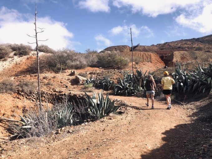 Fuerteventura: Betancuria - Hike, History & Goat Farm - Cheese Factory Visit