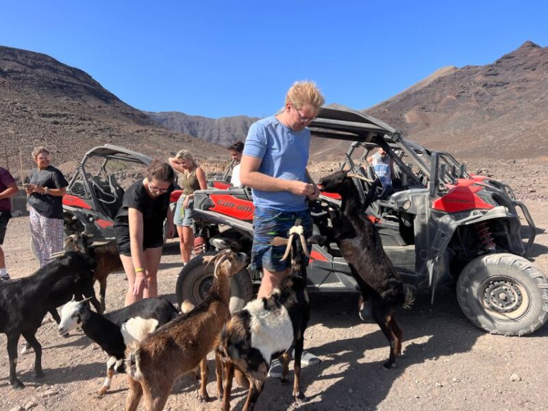 Fuerteventura: Buggy Tour in the South of the Island - Discovering Playa De Los Ojos