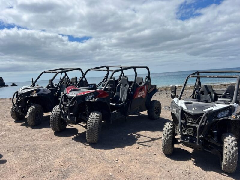Fuerteventura: Can-Am Buggy Experience Costa Calma - Itinerary and Highlights