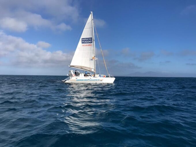Fuerteventura: Catamaran Excursion to Lobos Island - Accessibility and Restrictions