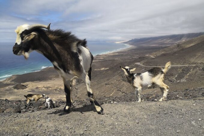 Fuerteventura: Cofete Beach and Villa Winter VIP Tour - Scenic Beauty and Photographic Opportunities