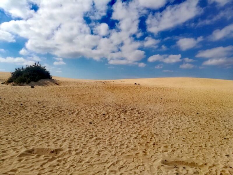 Fuerteventura: Corralejo Sand Dunes Guided Shore Excursion - Visit the El Campanario Shopping Center