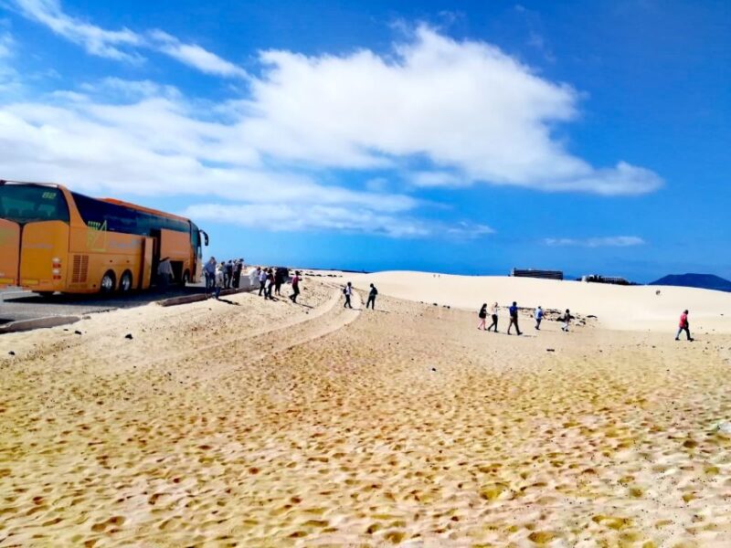 Fuerteventura: Corralejo Sand Dunes Guided Shore Excursion - Learn About Fuerteventuras Culture and History