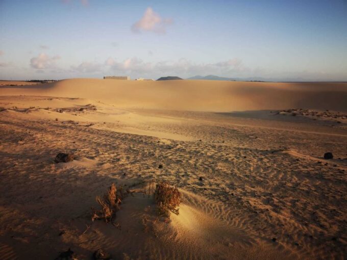 Fuerteventura: Corralejo Sand Dunes Guided Shore Excursion - Transportation and Meeting Point Details