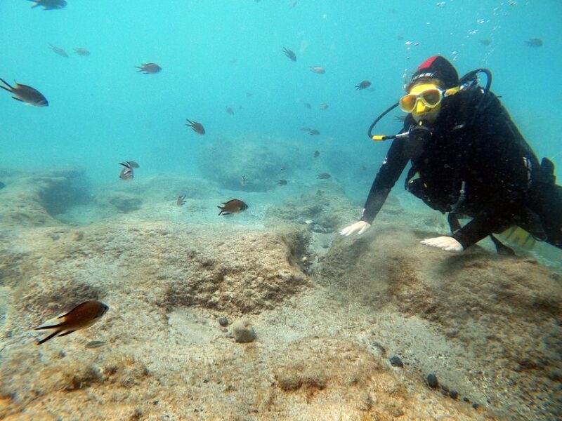 Fuerteventura : Discover Scuba Diving - Duration and Group Size
