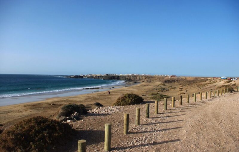Fuerteventura: Discovery Tour - Aloe Vera and Agave Plantations