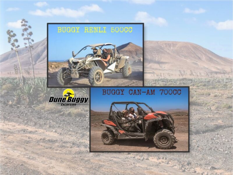 Fuerteventura: Dune Buggy Tour in Northern Fuerteventura - Exploring the Volcanic Landscapes