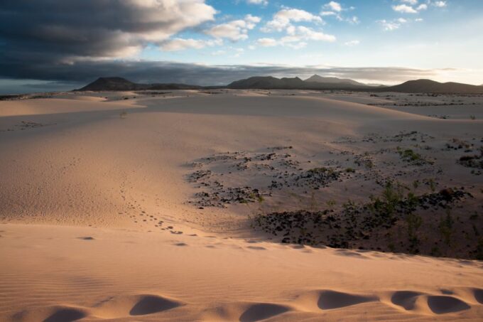Fuerteventura: Dune Buggy Tour in Northern Fuerteventura - Professional Guide and Safety