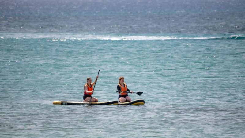 Fuerteventura: Explore Costa Calma Bay on a SUP Board! - Location and Accessibility