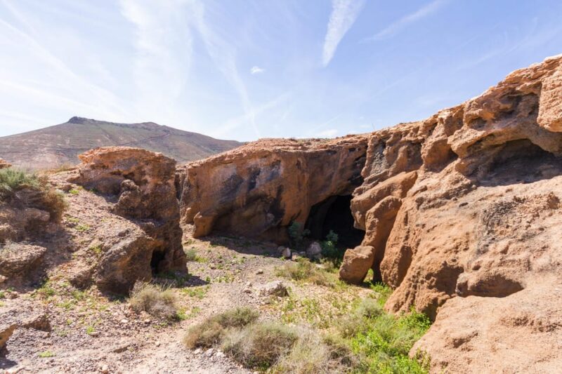Fuerteventura: Full Day - Explore the Vulcanic North - Transportation and Logistics