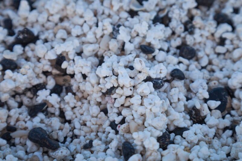 Fuerteventura: Full Day - Explore the Vulcanic North - Included Amenities