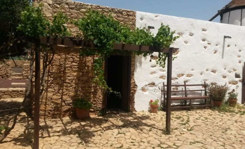 Fuerteventura: Full Day Tour With Lunch - Key Points