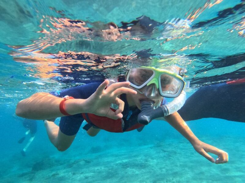 Fuerteventura: Guided Snorkeling in La Lajita With Pickup - Recap