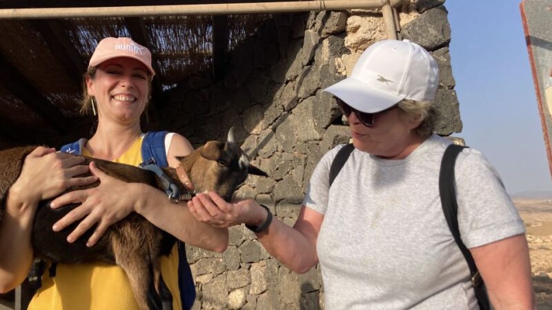 Fuerteventura: Guided Trekking Tour With Island Goats - Who Can Participate