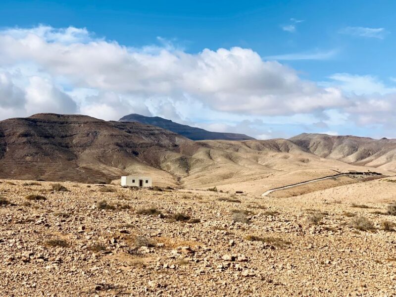 Fuerteventura: Guided Trekking Tour With Island Goats - Pickup and Drop-off