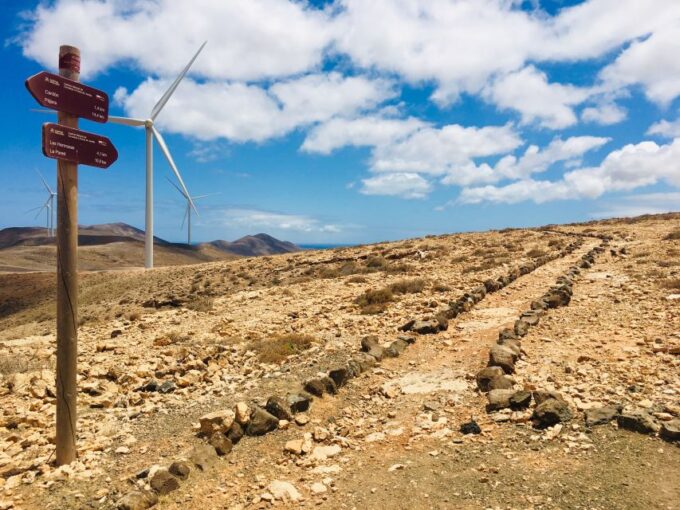 Fuerteventura: Guided Trekking Tour With Island Goats - Traditional Goat Cheese