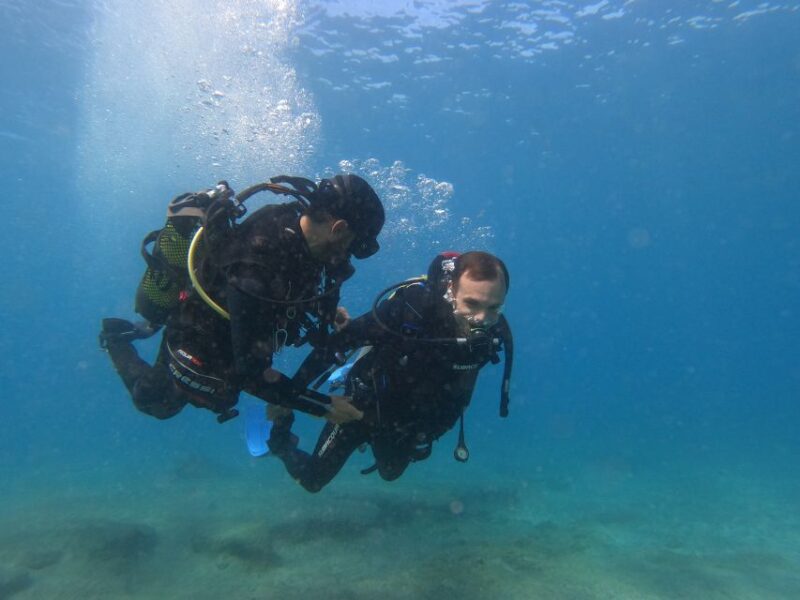 Fuerteventura: Introductory Dive in La Lajita With Pickup - Restrictions