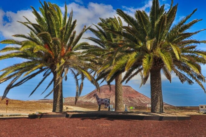 Fuerteventura: Island Flavors Full-Day Tour - Cancellation Policy