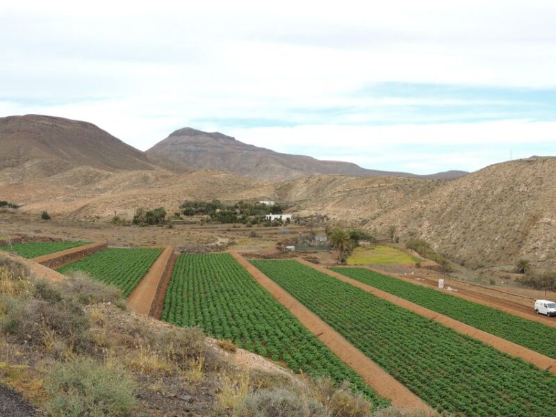 Fuerteventura: Island Highlights Guided Sightseeing Tour - Cuevas De Ajuy Visit
