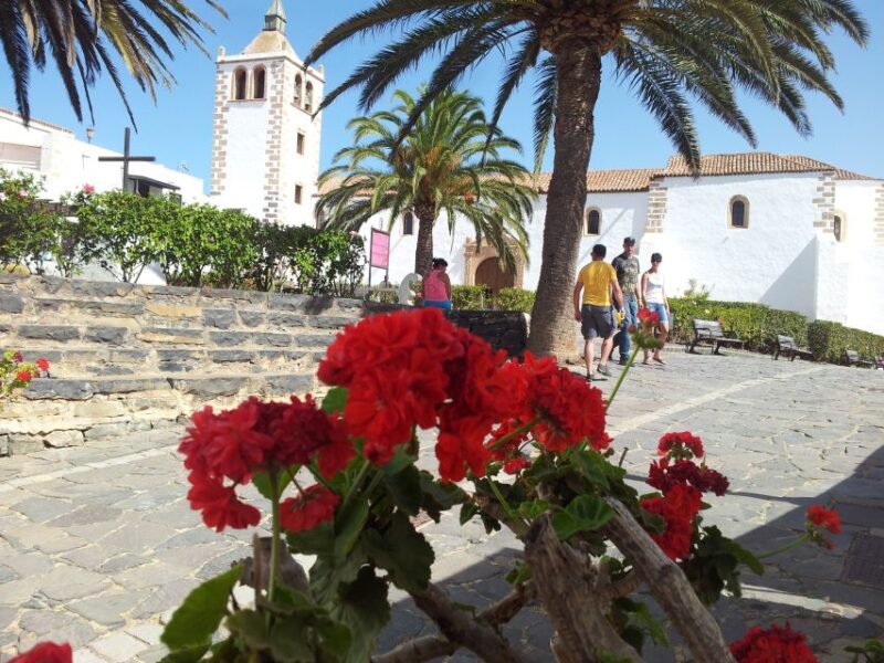 Fuerteventura: Island Tour by Minibus - Corralejo Sand Dunes