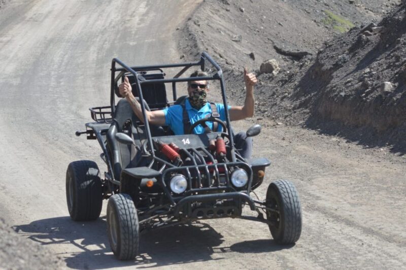 Fuerteventura: Jandía Natural Park & The Puertito Buggy Tour - Observing Local Wildlife