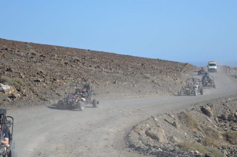 Fuerteventura: Jandía Natural Park & The Puertito Buggy Tour - Buggy Driving Experience
