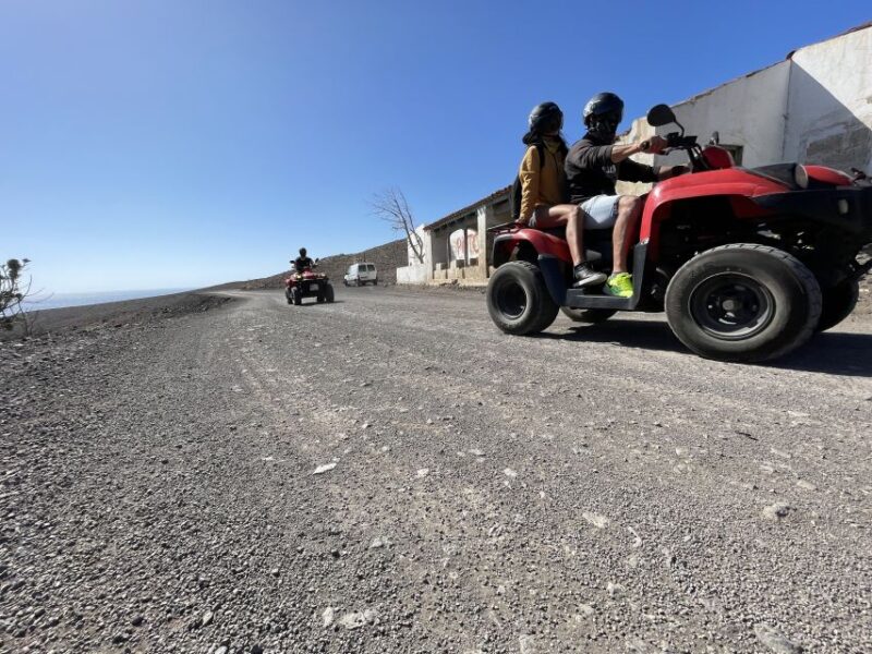 Fuerteventura: Jandia Natural Park & The Puertito Quad Tour - Encountering Local Wildlife