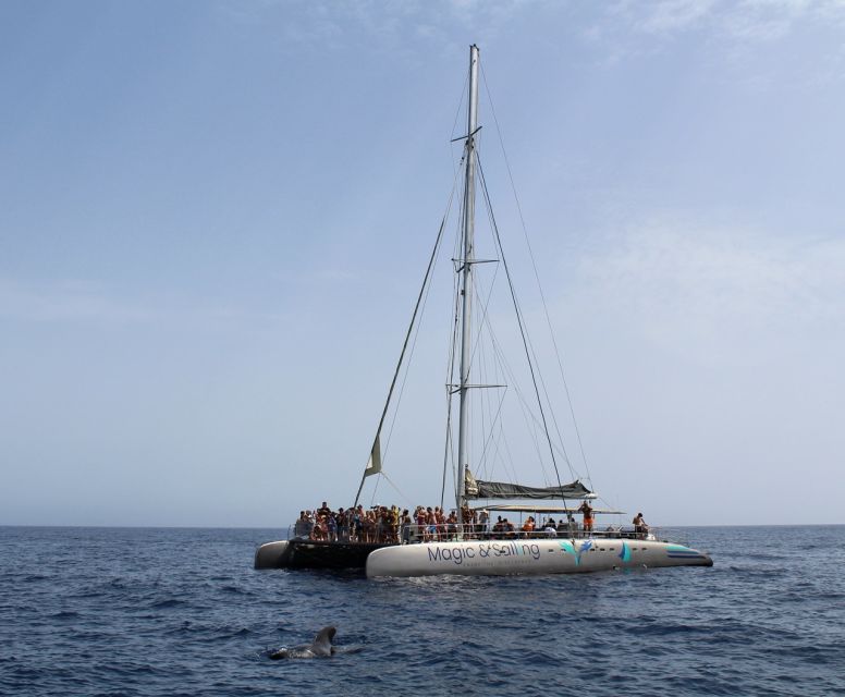 Fuerteventura: Magic Catamaran Trip With Food and Drinks - Spotting Dolphins and Whales Along the Way