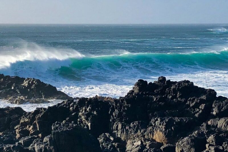 Fuerteventura North Full-Day Tour - Highlights of the Tour