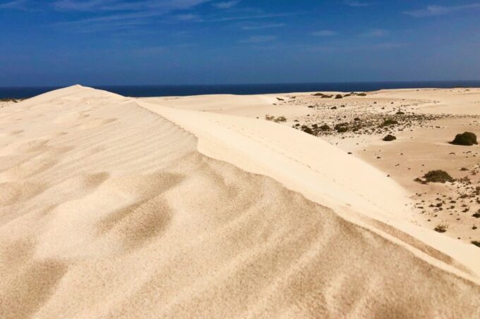 Fuerteventura North Full-Day Tour - Frequently Asked Questions