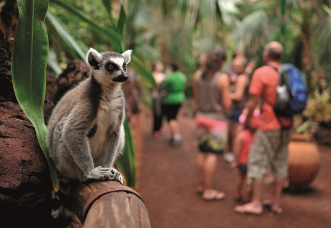 Fuerteventura: Oasis Wildlife Entry Ticket - Camel and Sea Lion Rides