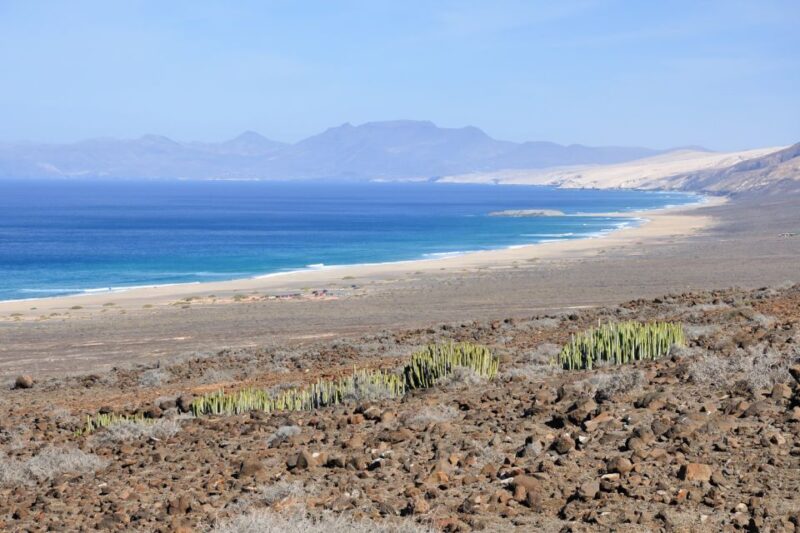 Fuerteventura: Off-Road Safari Tour - Unspoiled Beach Experience
