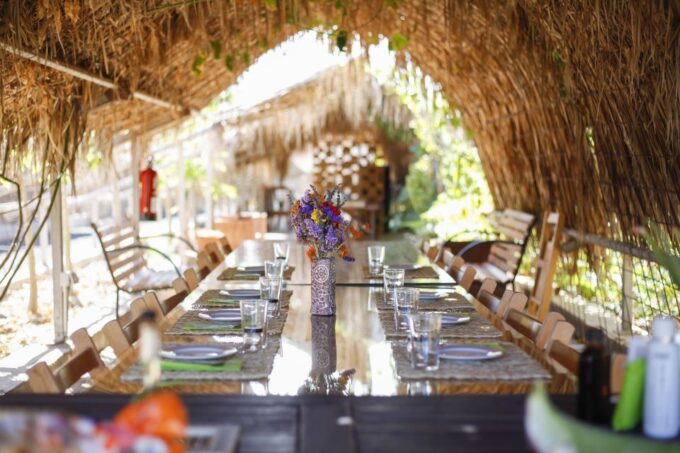 Fuerteventura Organic Farm Guided Tour W/ Optional Lunch - Pricing and Duration