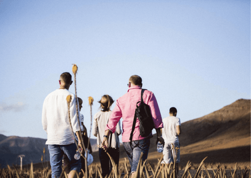 Fuerteventura Organic Farm Guided Tour With Optional Lunch - Explore the Volcanic Origins of Fuerteventura