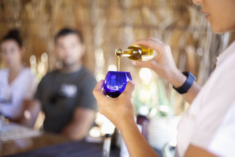 Fuerteventura Organic Farm Guided Tour With Optional Lunch - Discover the Permaculture Garden and Aloe Vera Workshop